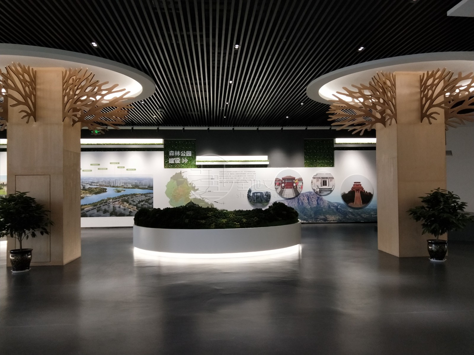 1652940359759751.jpg 12.jpg